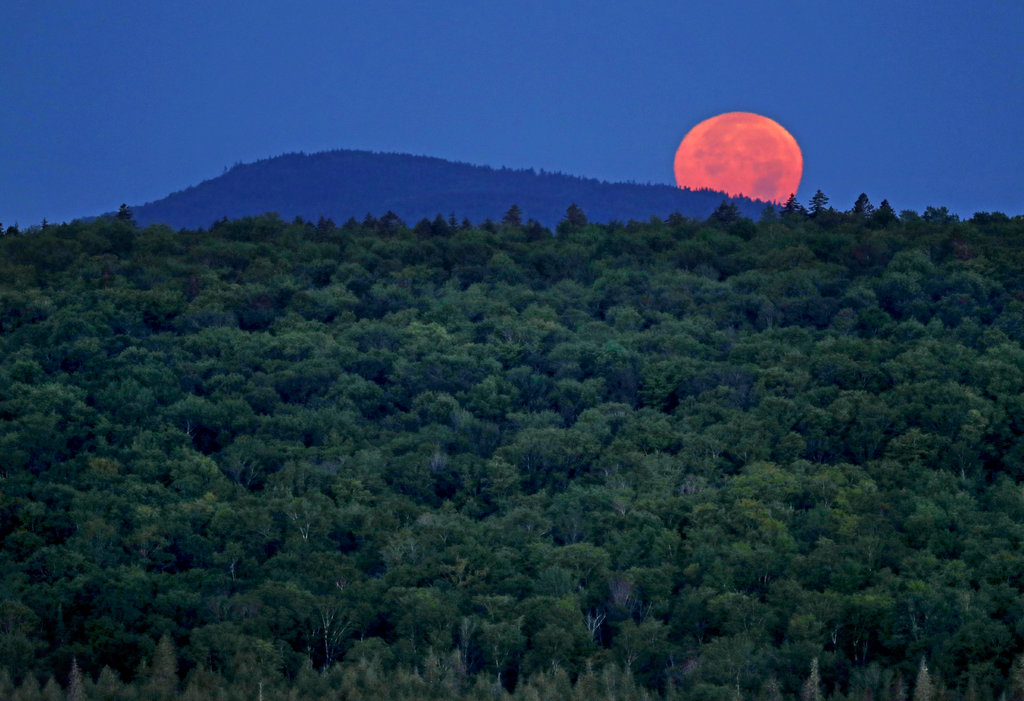 Law webinar discusses foreign ownership of U.S. forestland