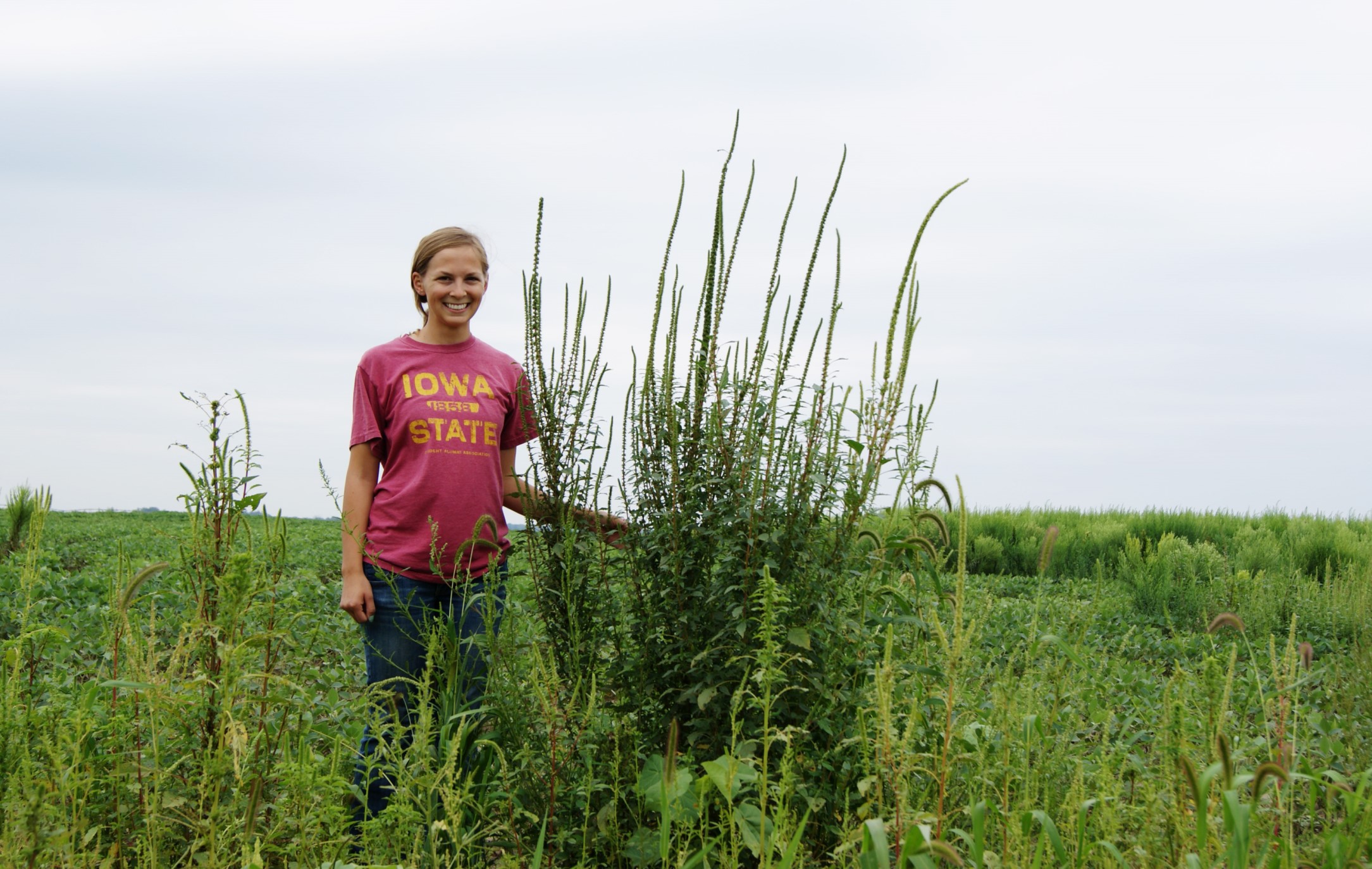 Group studying resistant weeds