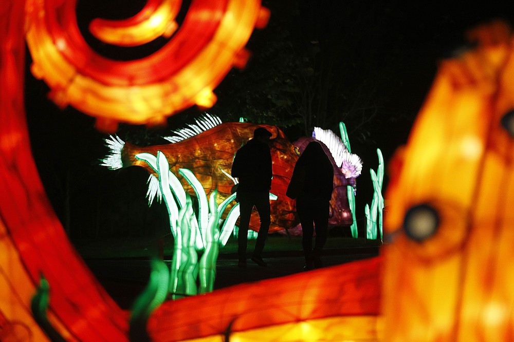 GloWild at Little Rock Zoo