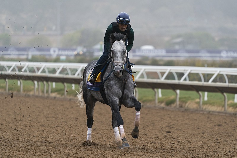 An exercise rider takes Knicks Go for a morning workout Thursday at Del Mar race track in Del Mar, Calif. Knicks Go and Essential Quality are considered the favorites in Saturday’s Breeders’ Cup Classic.
(AP/Jae C. Hong)