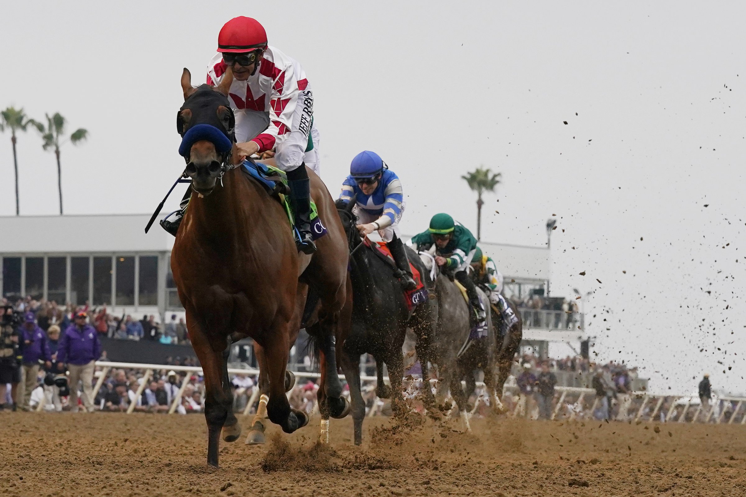 Baffert's Corniche takes Juvenile title - Vimarsana News