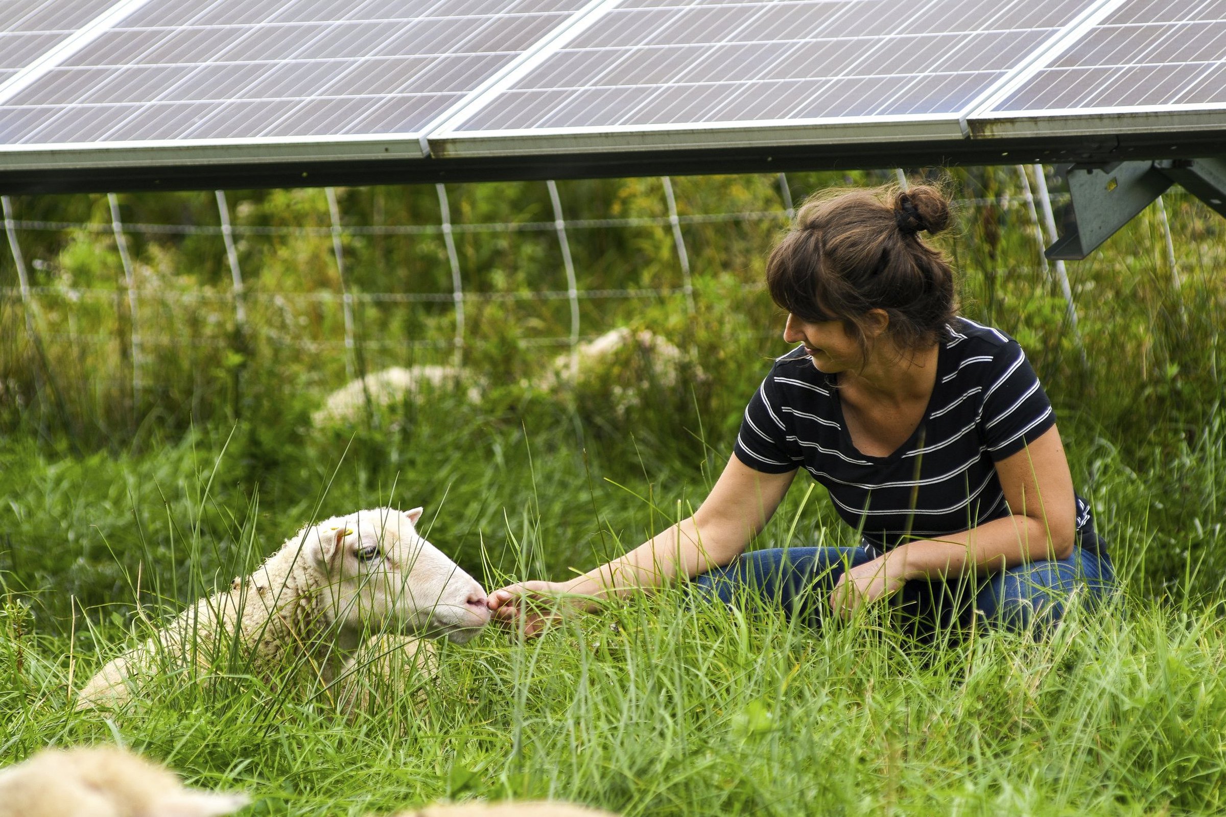 Webinar covers energy land use
