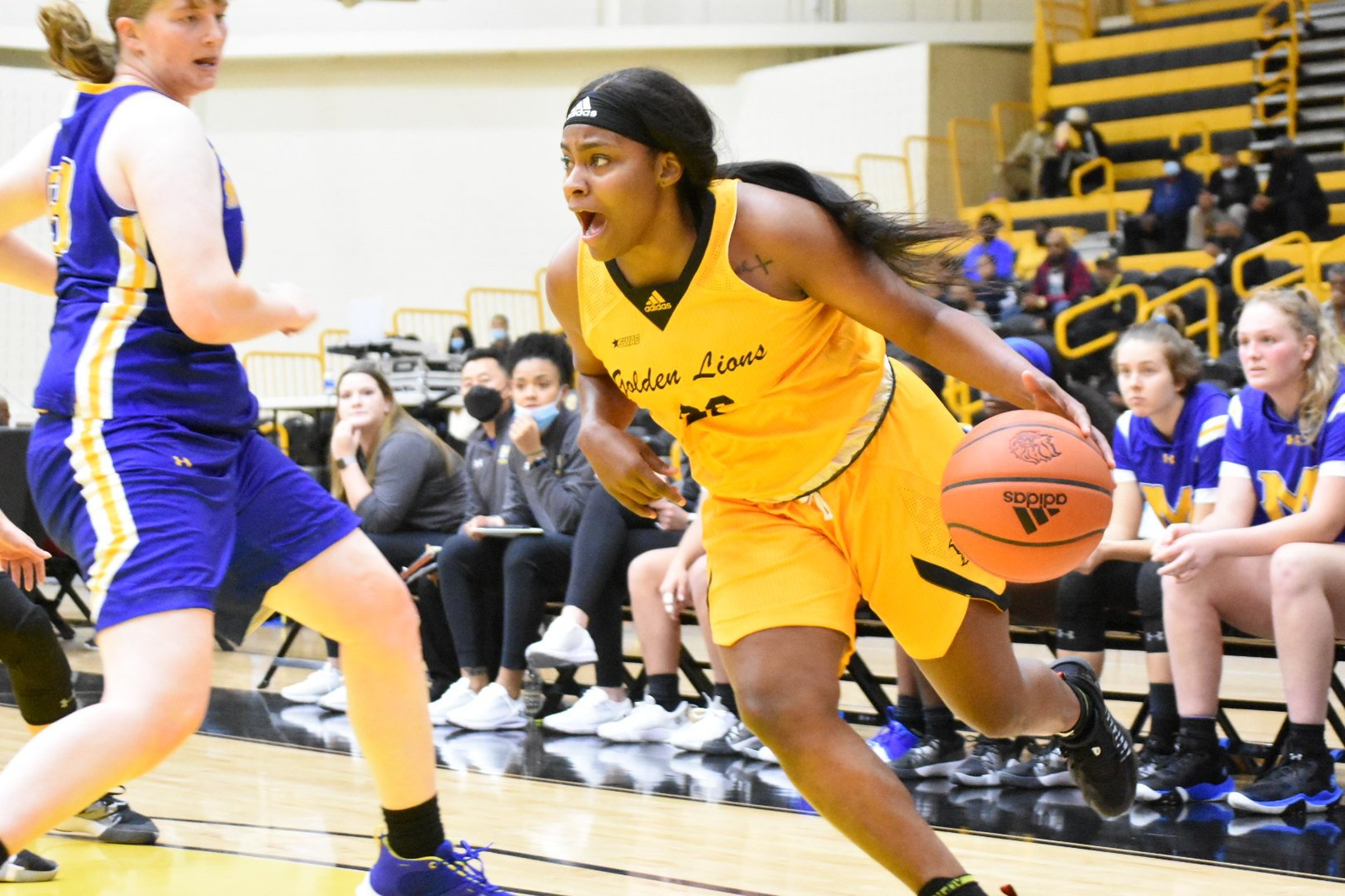 Lady Lions look to rise to challenge against UA