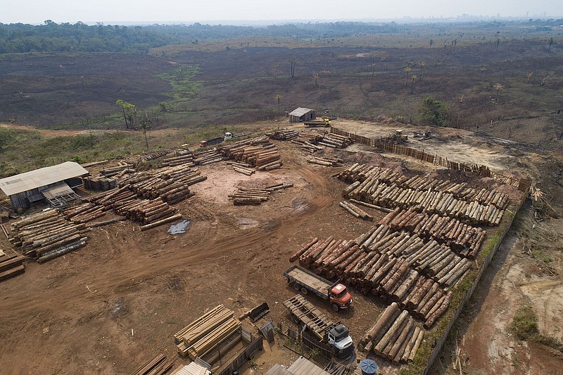 Logs sit at a lumber mill surrounded by recently charred and deforested fields near Porto Velho in the Rondonia state of Brazil in September 2019.
(AP/Andre Penner)
