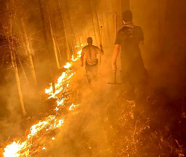 Wildfire contained at Hobbs State Park in Northwest Arkansas after burning 200 acres - Vimarsana News