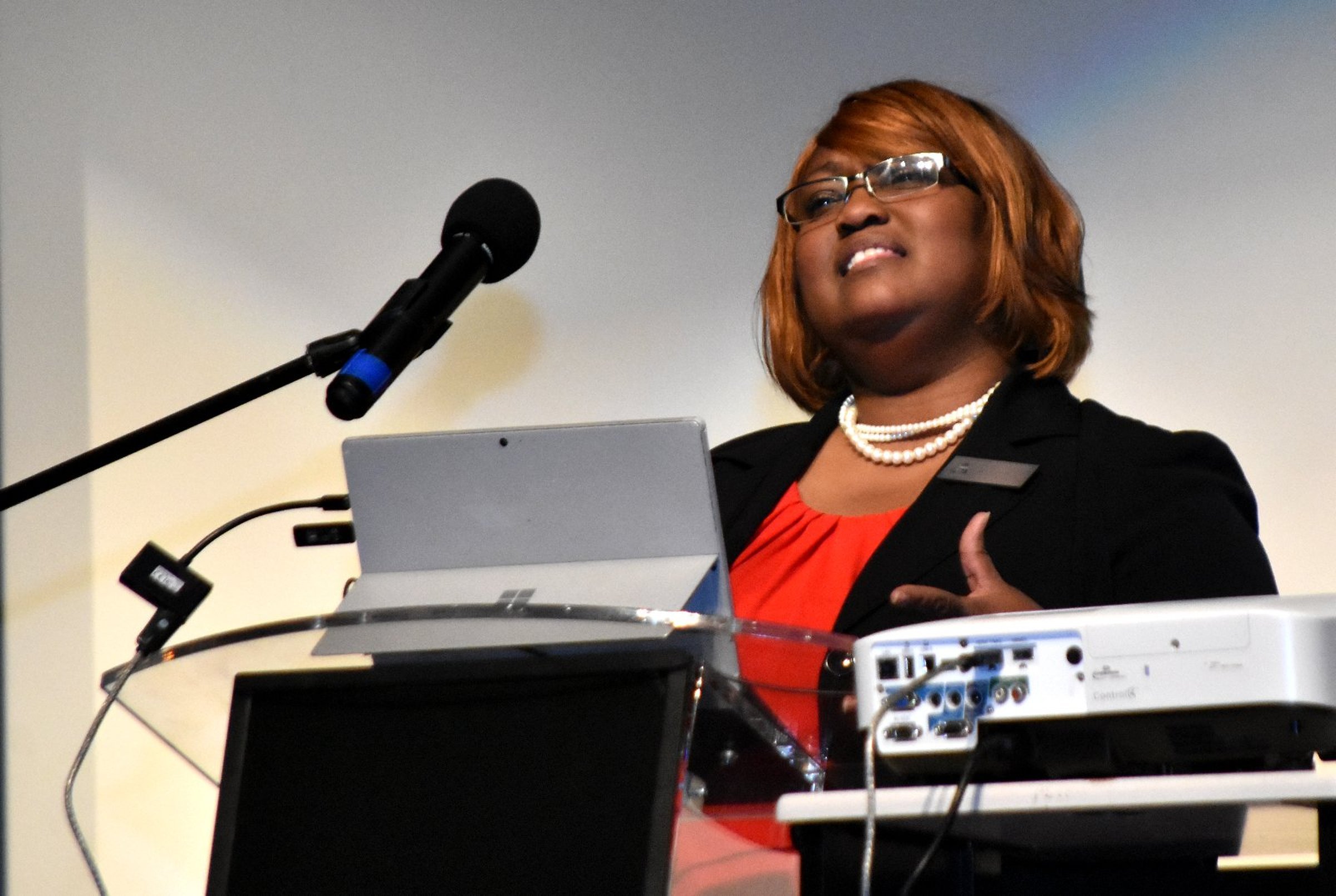 Pine Bluff schools name community advisory committee