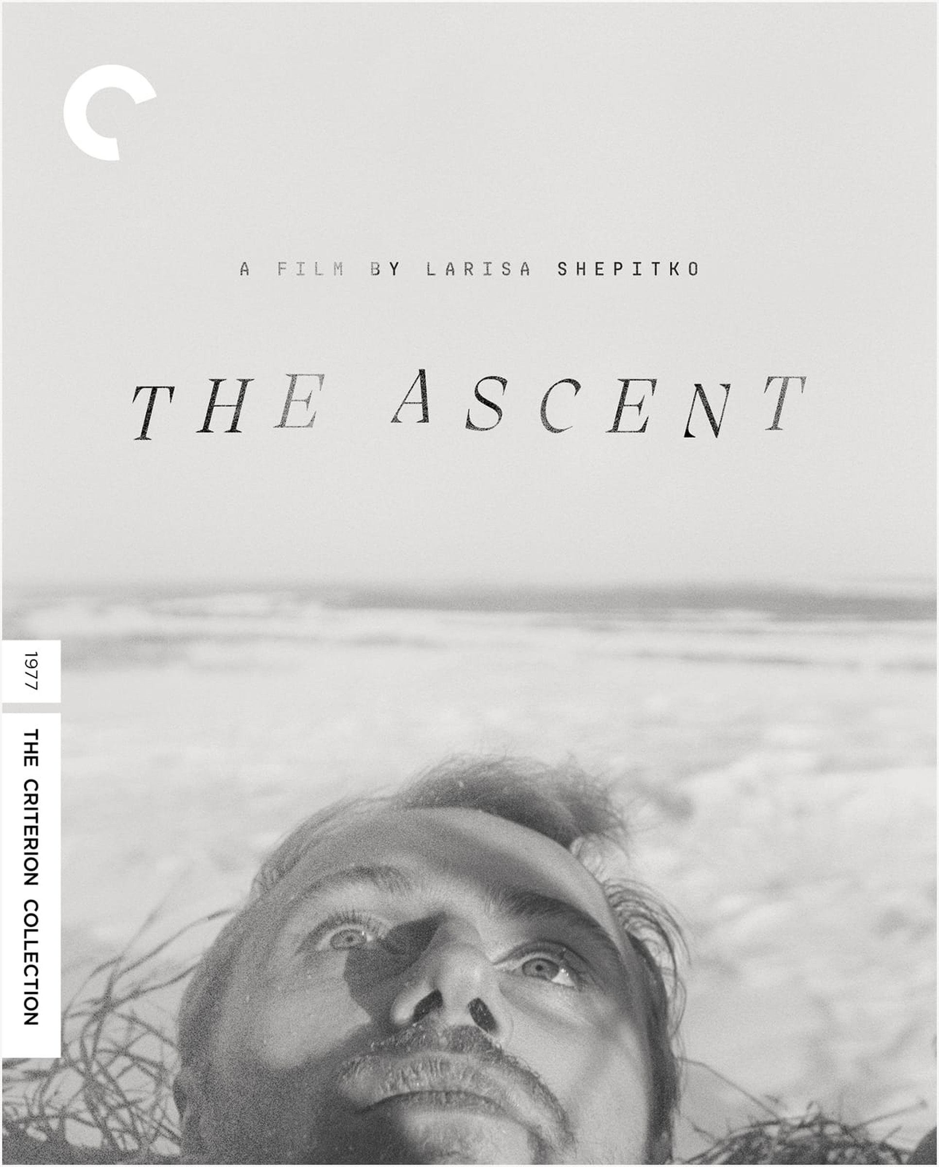 'The Ascent' (1977) - Vimarsana News