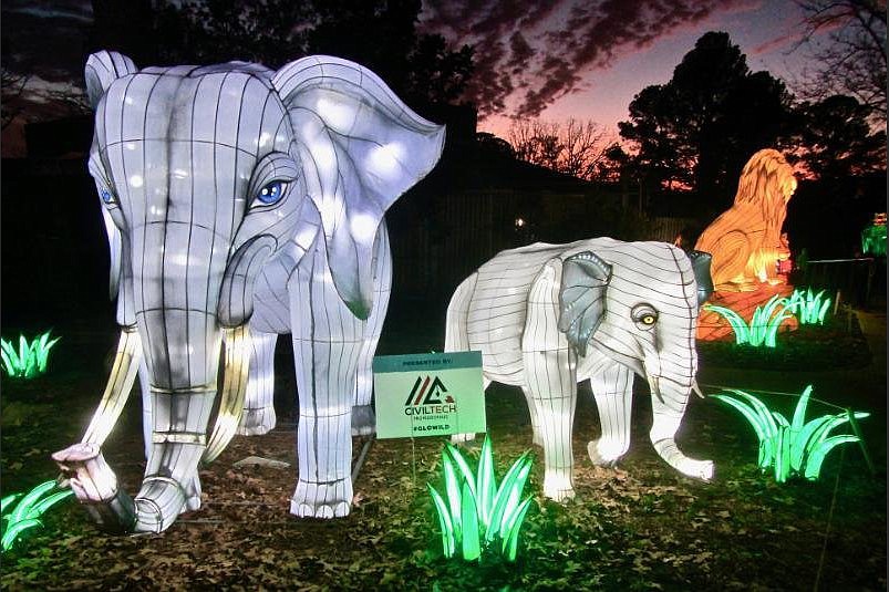 ARKANSAS SIGHTSEEING Little Rock Zoo’s GloWild attraction brightens up