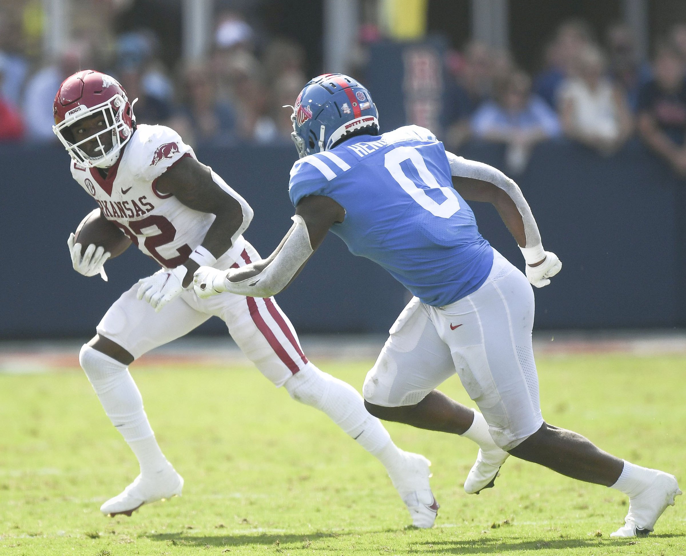 Hogs eat up yards on ground - Vimarsana News
