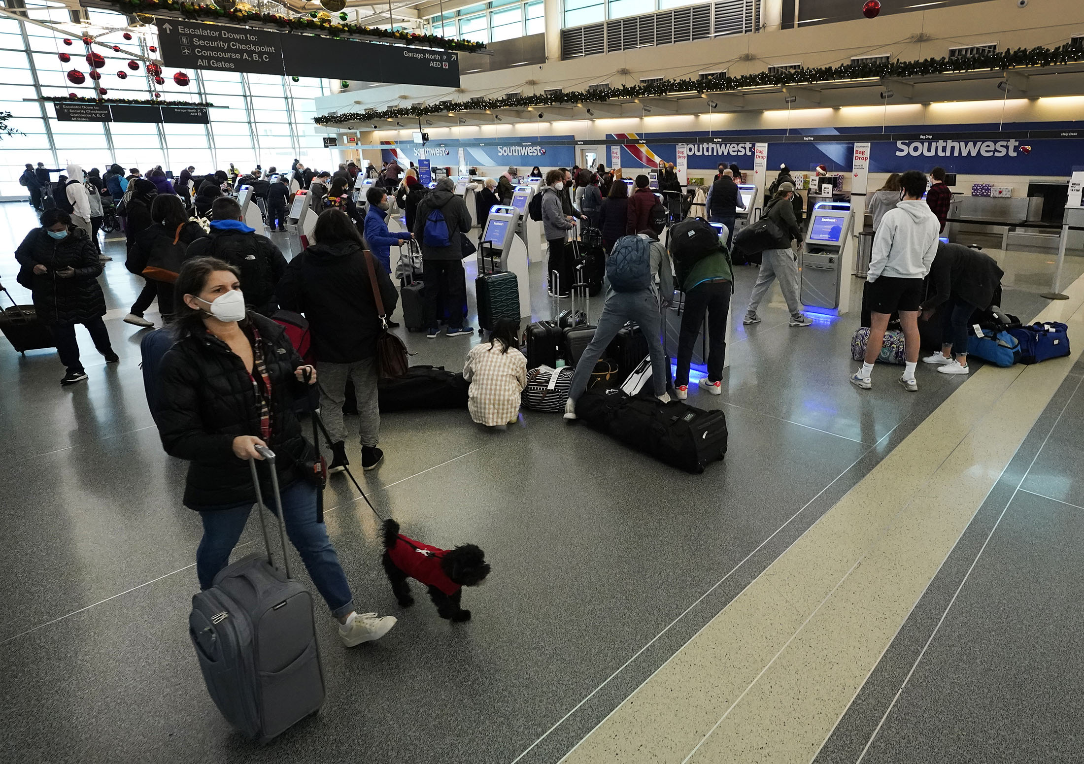Again, pandemic poses hard choices for holiday revelry - Vimarsana News