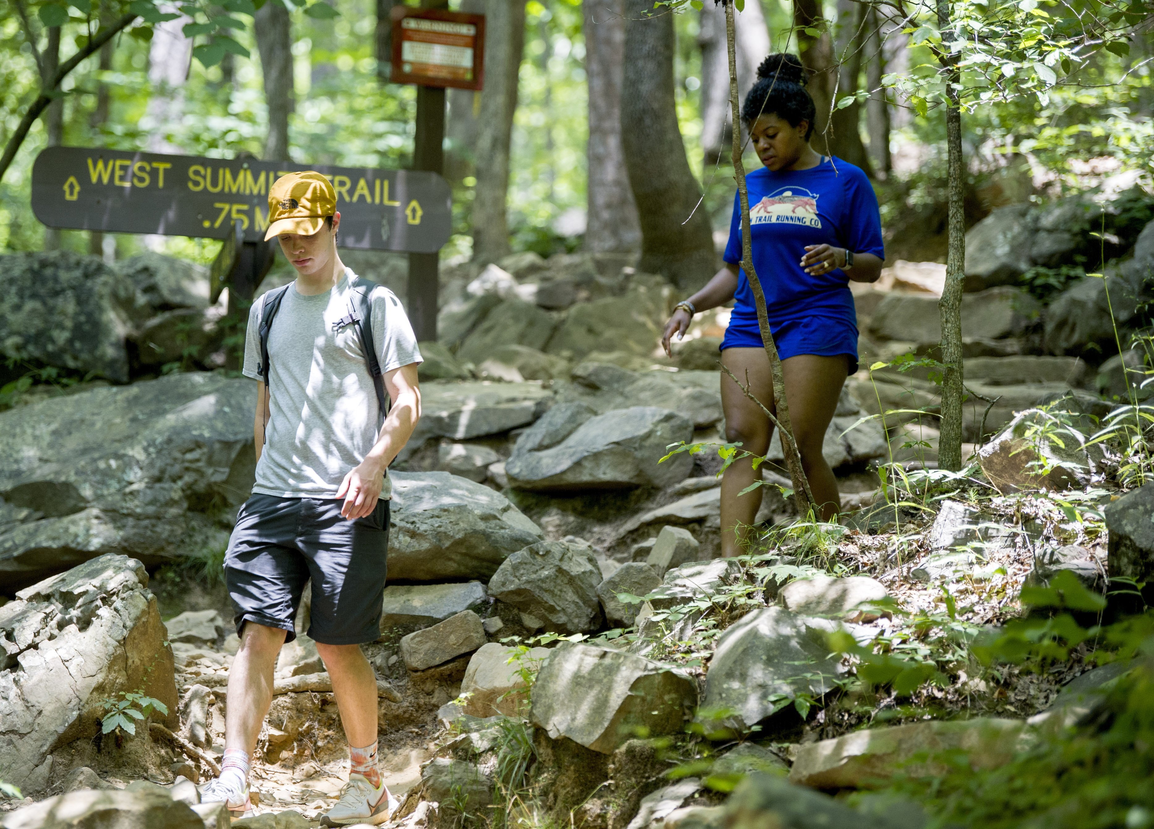 ENTERTAINMENT NOTES: Trudging up to the new year with nation's First Day Hikes - Vimarsana News