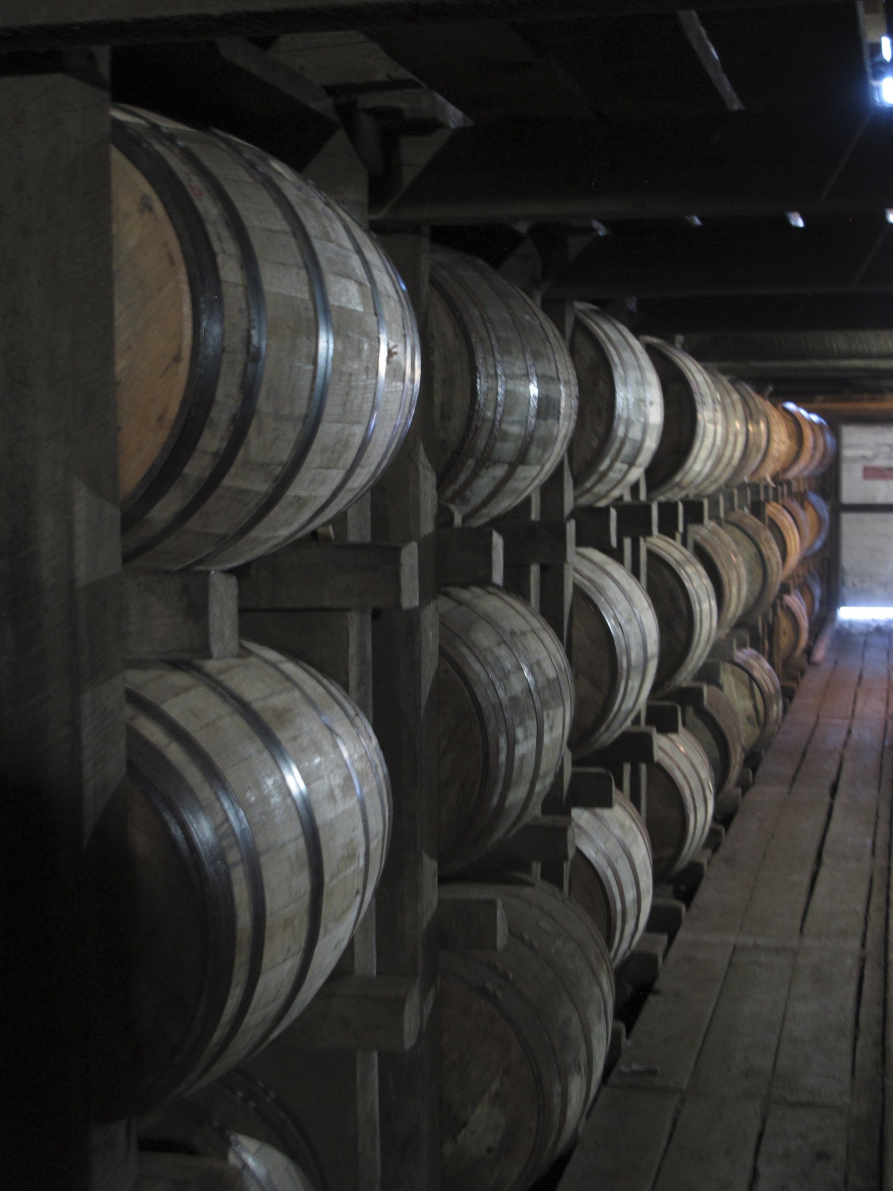 White oaks' decline a worry to watch for bourbon makers - Vimarsana News
