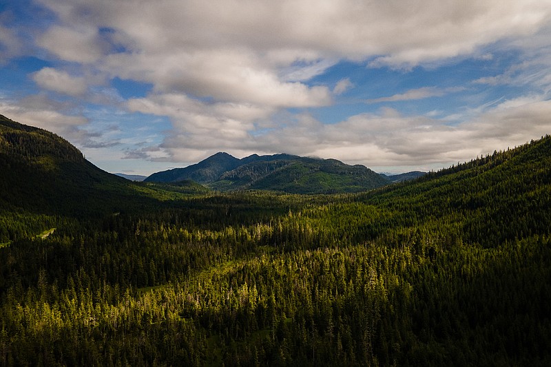 The Tongass National Forest, which holds the equivalent of 9.9 billion tons of carbon dioxide, spreads across Prince of Wales Island on Alaska’s archipelago.
(The Washington Post/Salwan Georges)