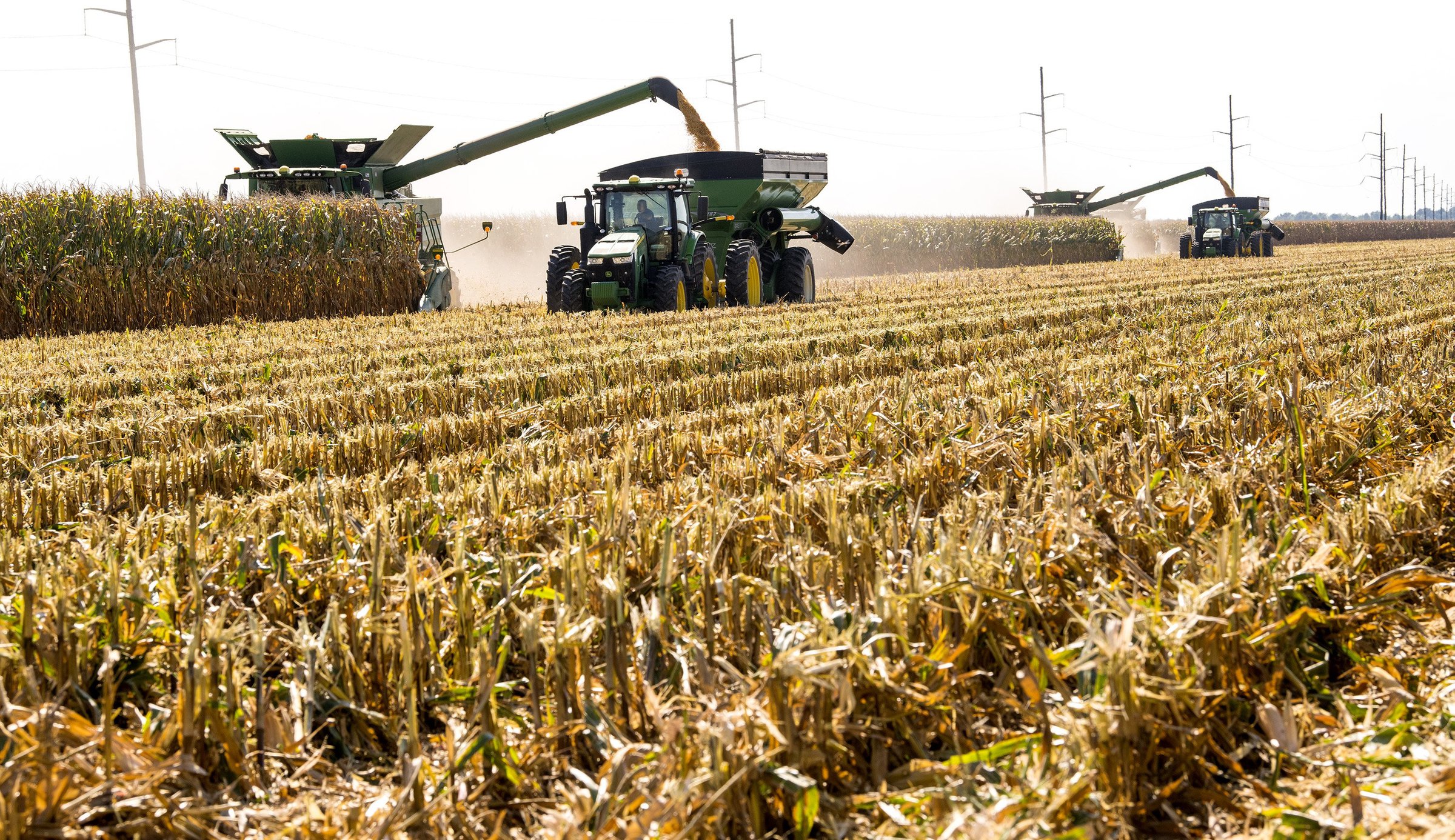 Enterprise crop budgets revised as costs increase