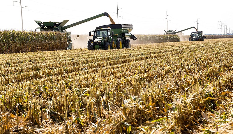 Early corn harvesting is shown at the Dow Brantley farm in Lonoke County in this Aug. 19, 2020, file photo. (Special to The Commercial/Fred Miller, University of Arkansas System Division of Agriculture)