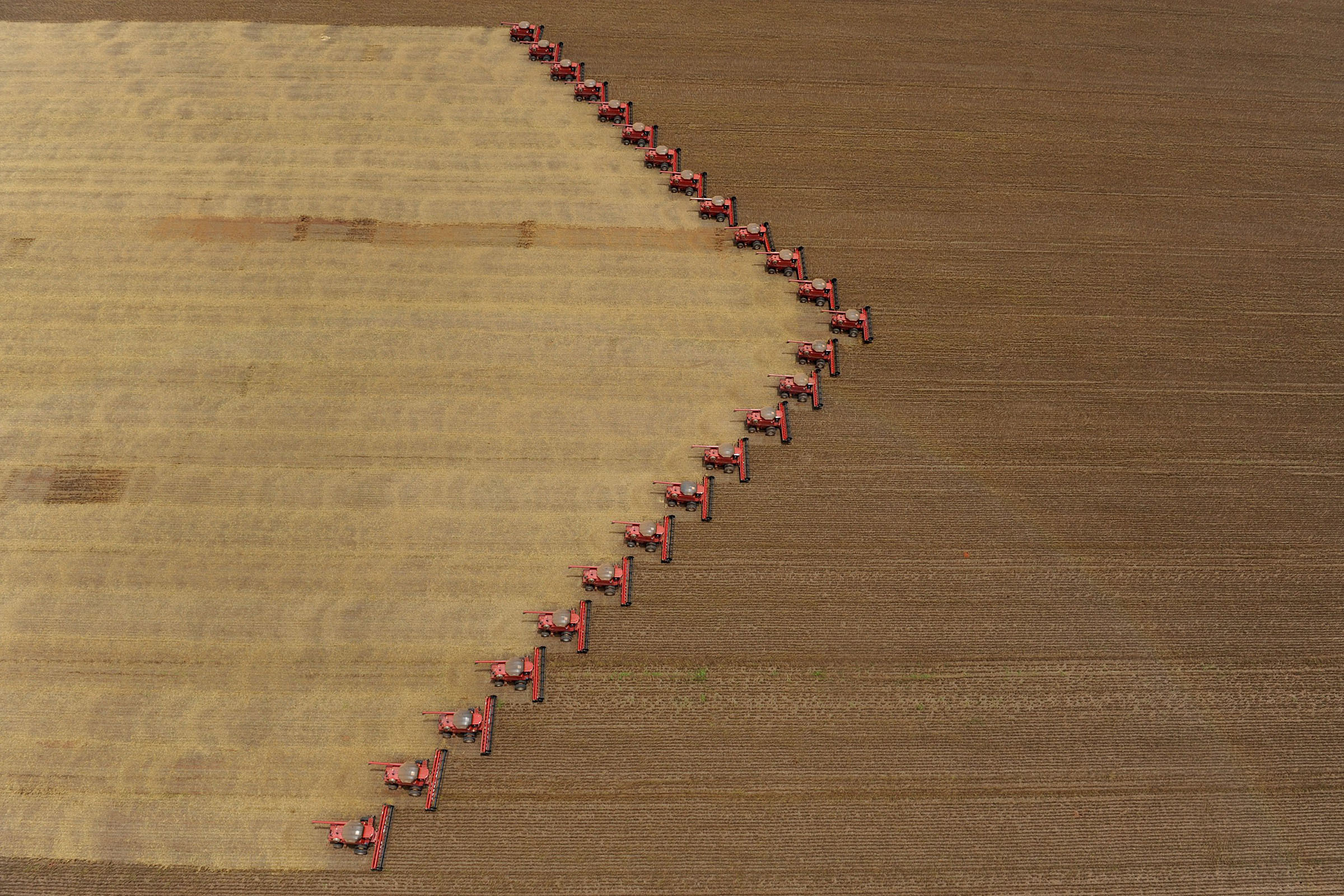 Heat, drought dims Brazil's soybean outlook - Vimarsana News