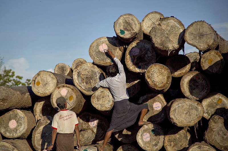 A worker marks logs at a yard in Wuntho, Burma.
(AP)