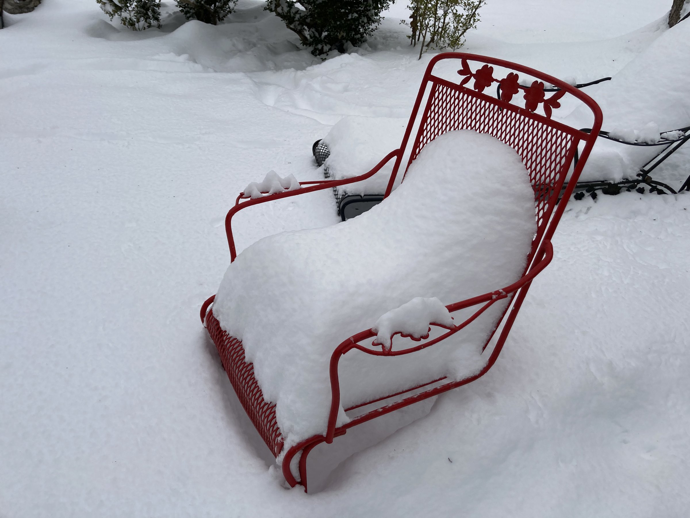 Pine Bluff logged weather extremes in ’21