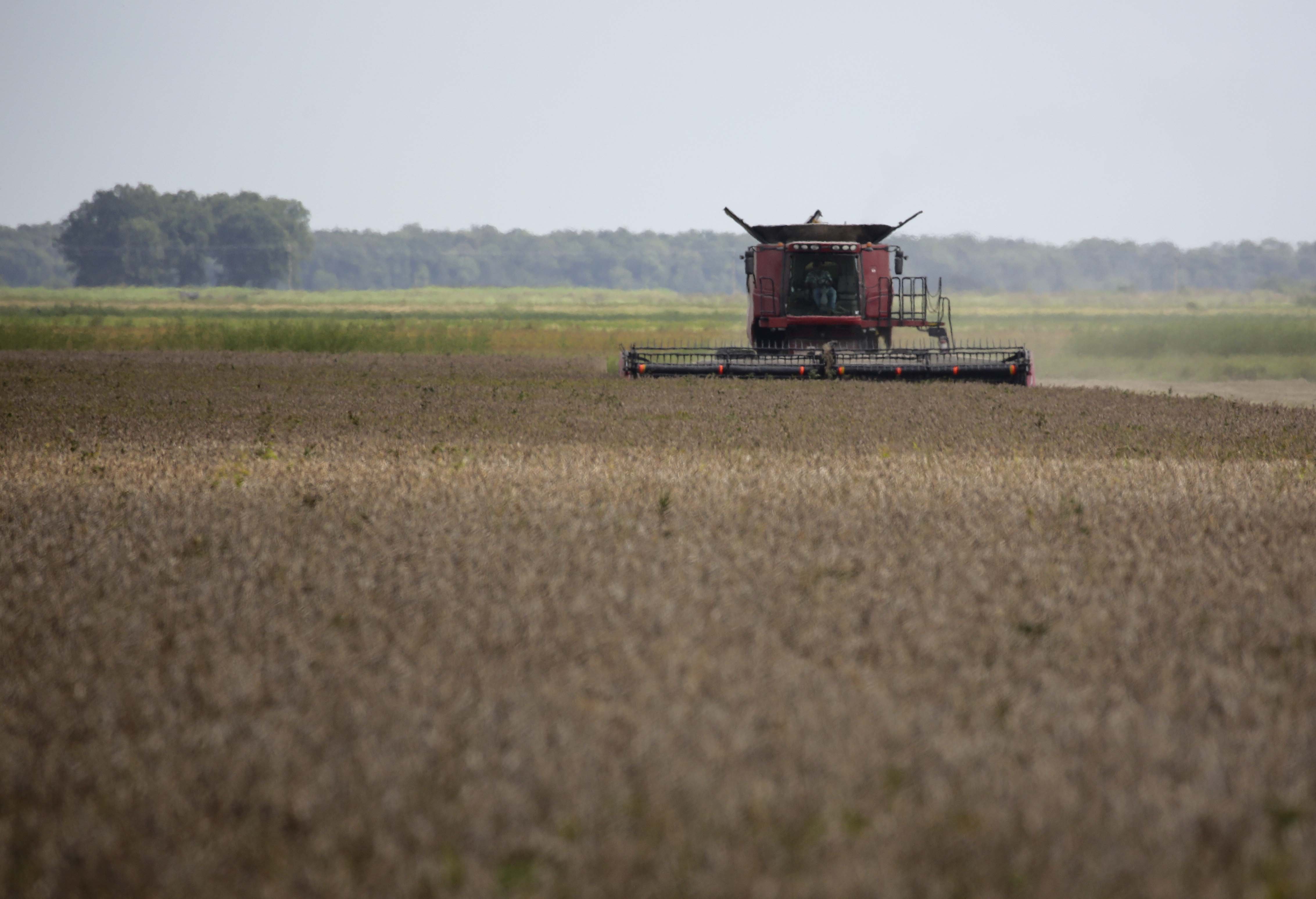 Interest rates hot topic for farmers, UA agriculture extension economist says