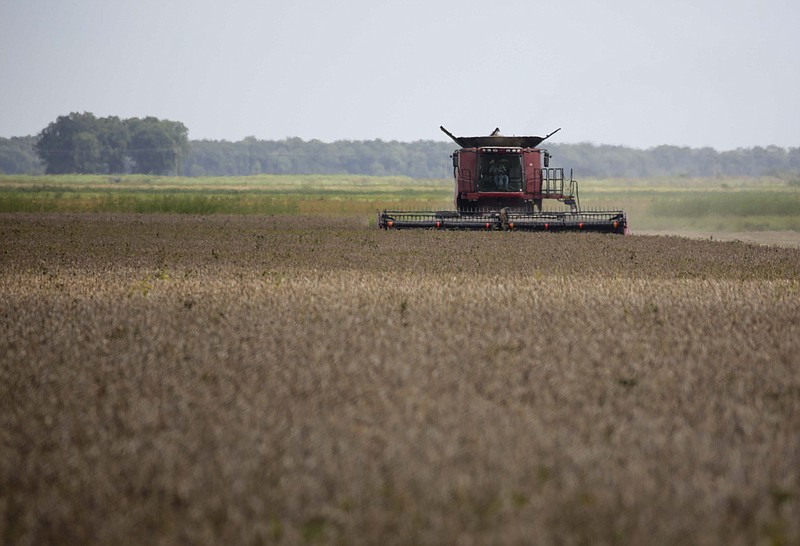 A farmer harvests soybeans in Lonoke County in this Sept. 16, 2020, file photo. (Arkansas Democrat-Gazette/Staton Breidenthal)
