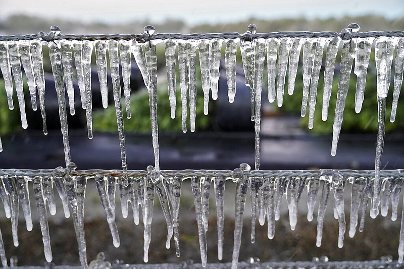 FILE — Icicles cling to a barbed wire fence outside a nursery Sunday, Jan. 30, 2022, in Plant City, Fla. (AP/Chris O'Meara)
