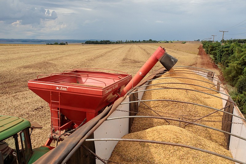 Soybeans are transferred from a tanker to a truck during harvest in February 2021 at a farm in Ita, Sao Paulo state, Brazil. Soybean buyers are turning to the U.S. for supply because of a smaller and slower harvest in Brazil.
(Bloomberg News WPNS/ Patricia Monteiro)