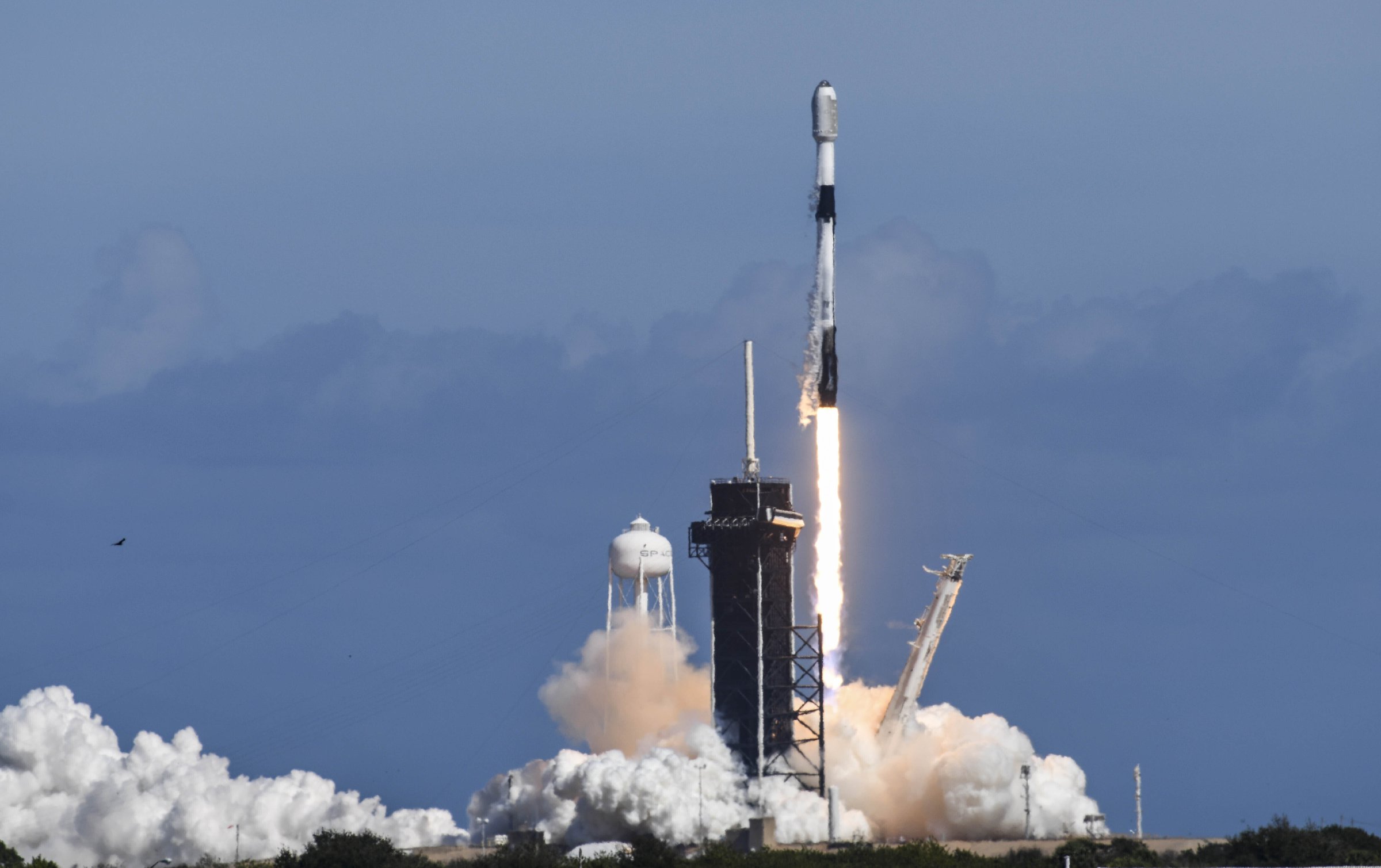 SpaceX satellites fall from orbit - Vimarsana News
