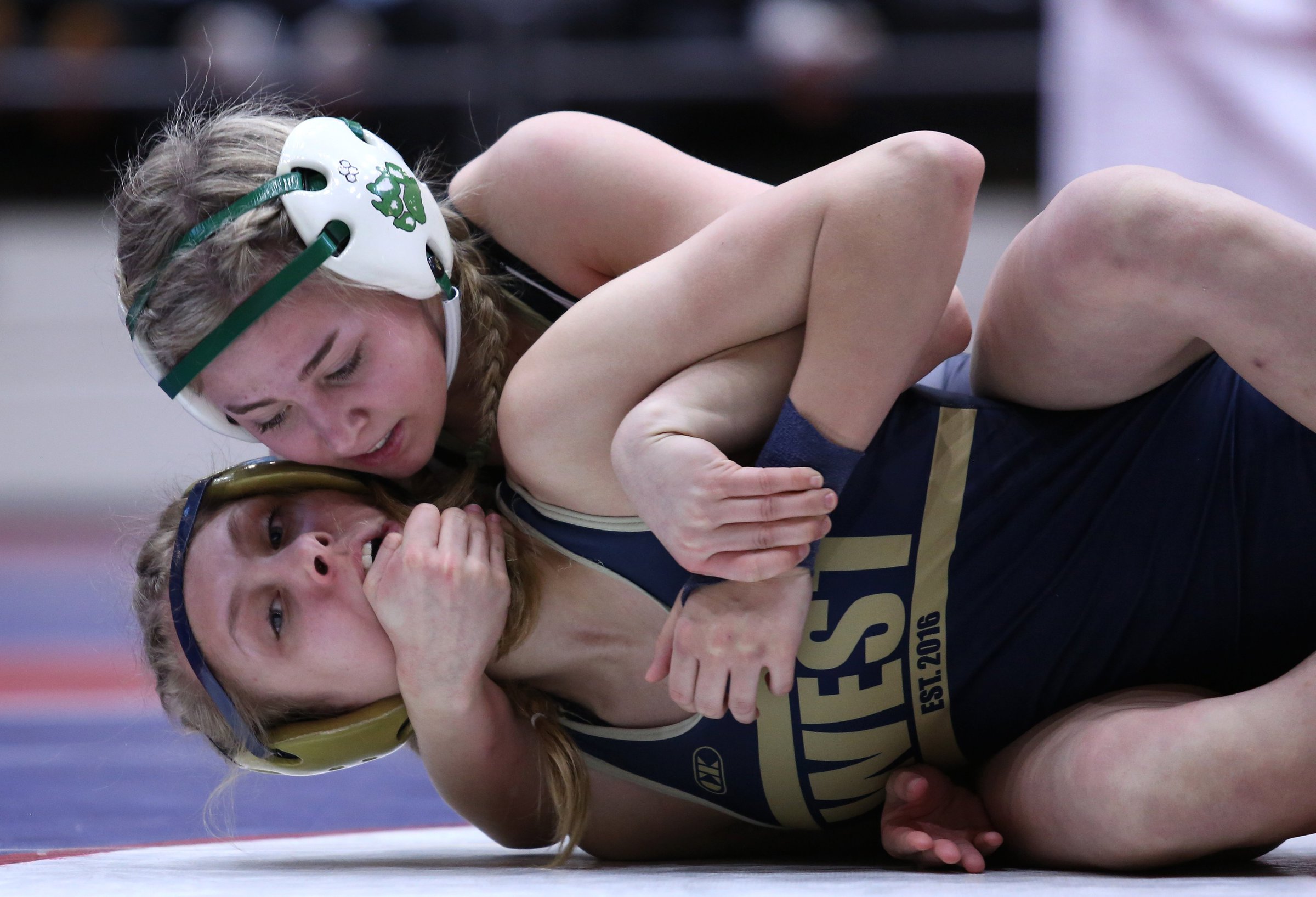 Pointers' Loney gets 1 more title - Vimarsana News