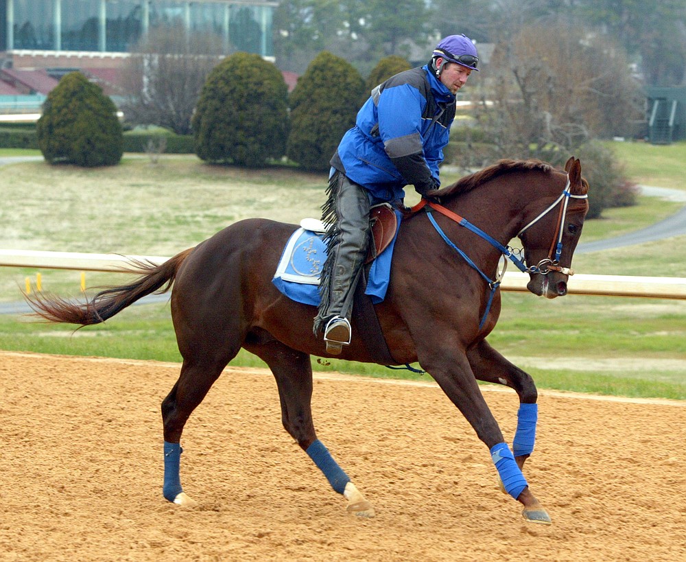 Remember when, Arkansas? Oaklawn’s 2004 horse hero Smarty Jones turns ...