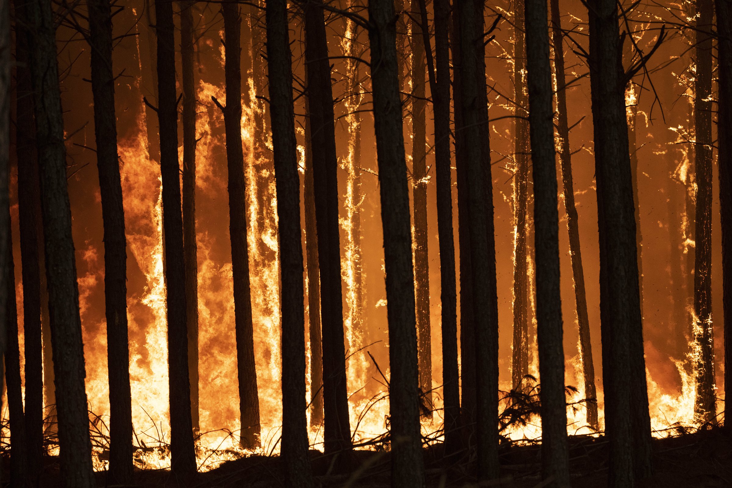 More fire, smoke ahead, U.N. says - Vimarsana News