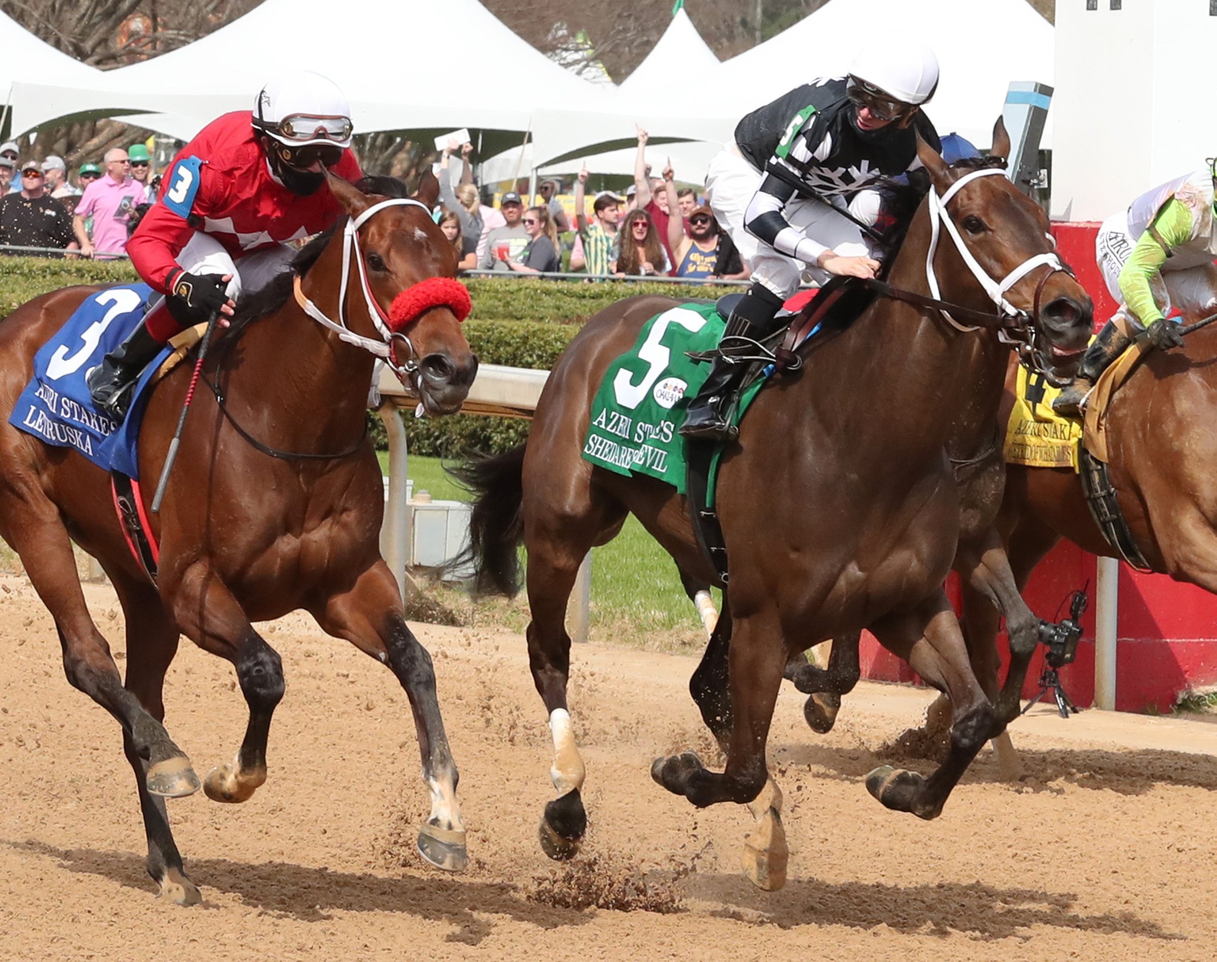 Lineup full of talented fillies set for today's Azeri Stakes - Vimarsana News