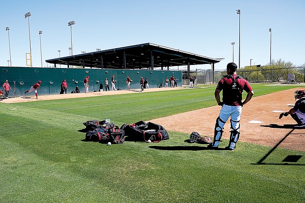 MLB players get to work in Arizona, Florida - Vimarsana News