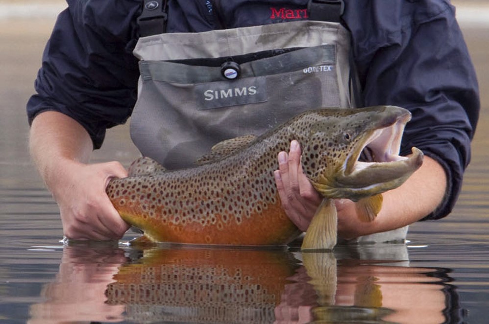 Meeting to offer fishery findings