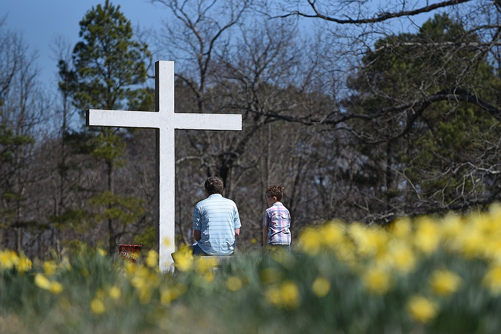 Wye Mountain Daffodil Festival 2022 The Arkansas DemocratGazette