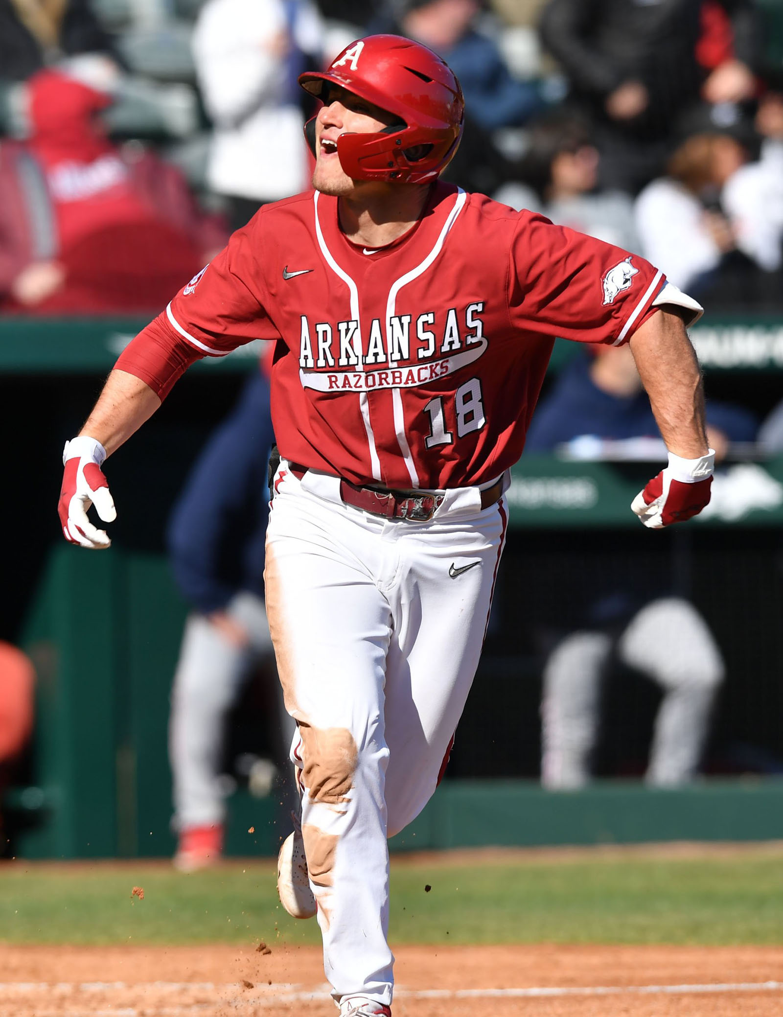Hot-hitting 'Cats next up for Hogs - Vimarsana News