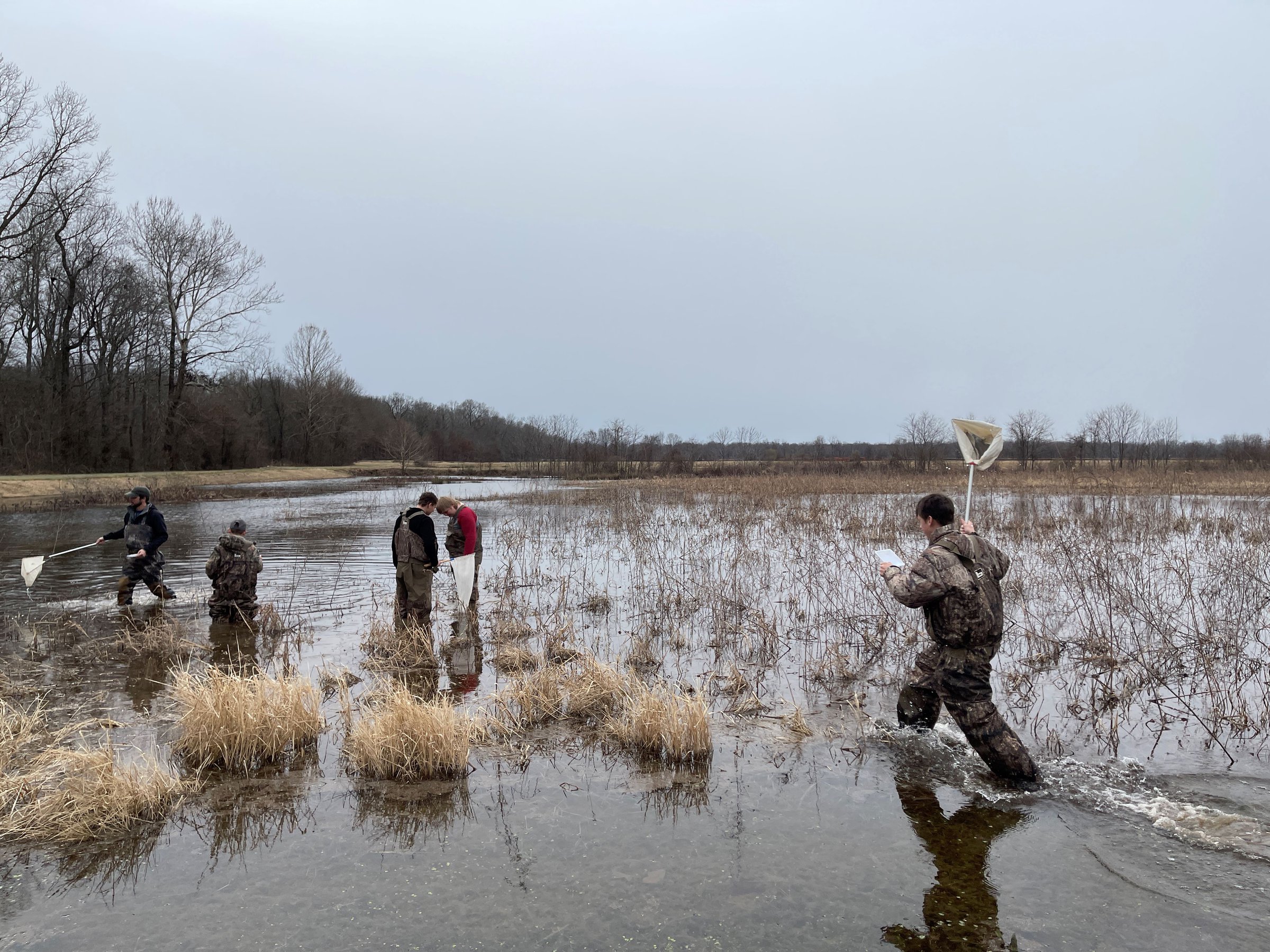 Waterfowl workshop educates