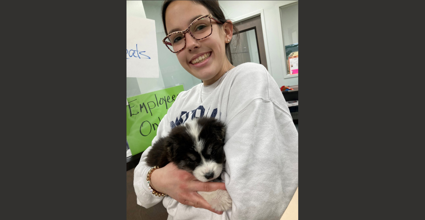 Homemakers club puts focus on animal shelters