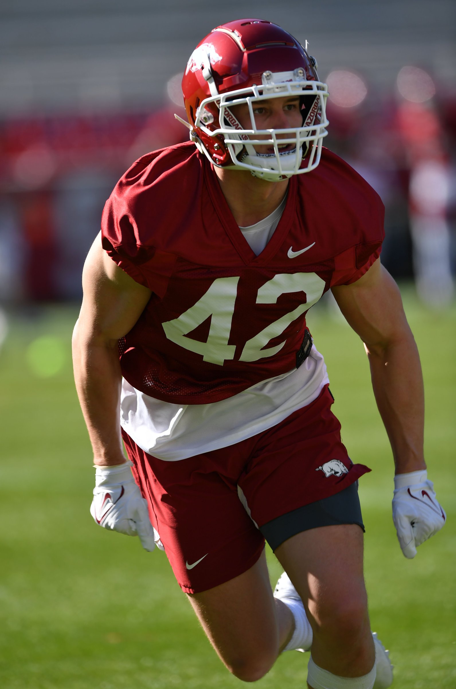 Hogs have share of newcomers - Vimarsana News