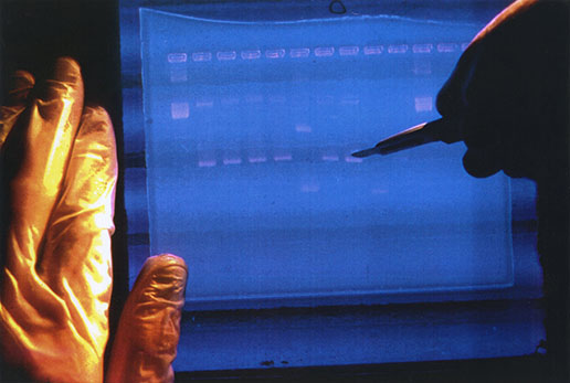 Human genome map finished, scientists say - Vimarsana News