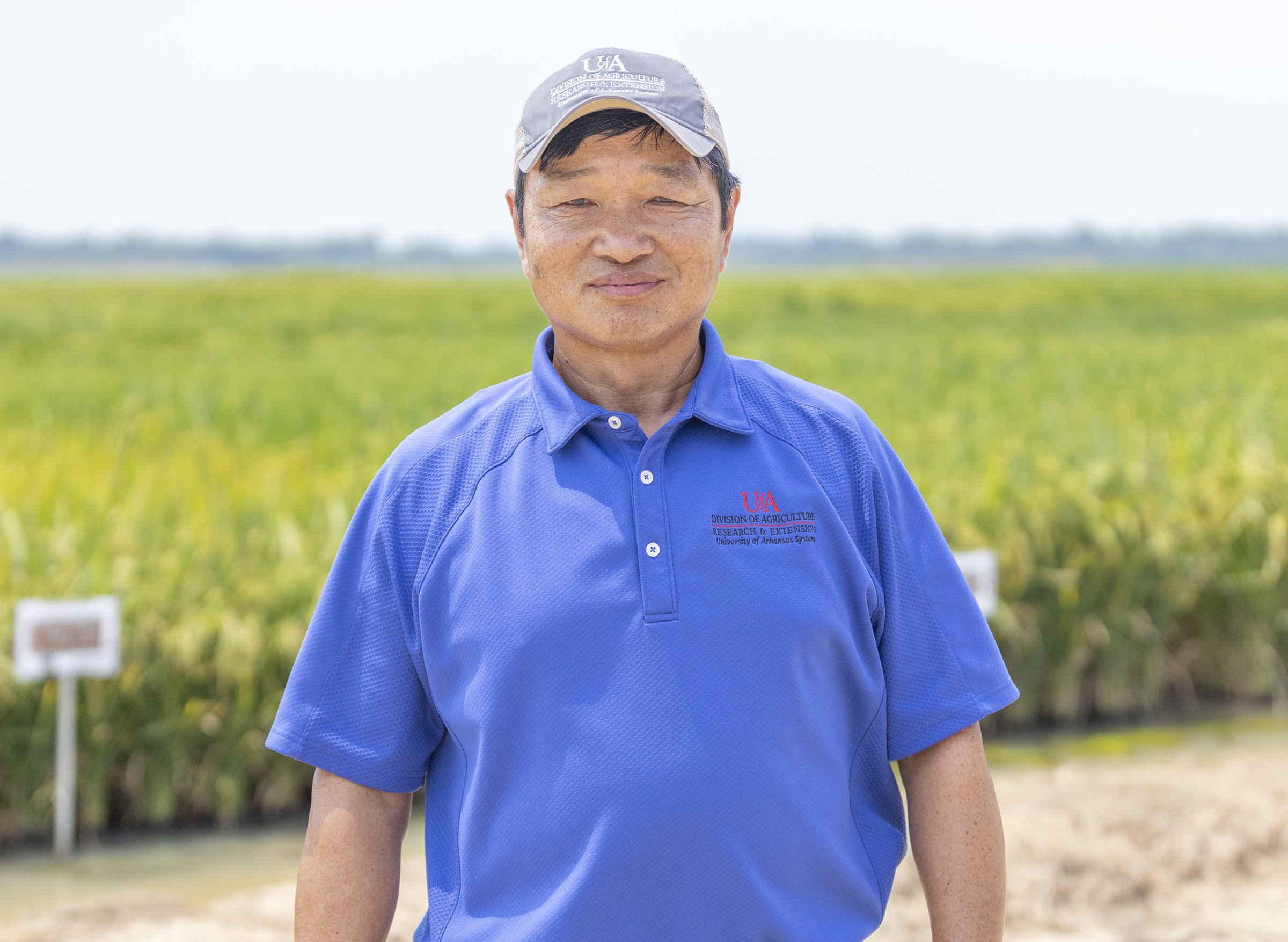 Breeders develop new rice types