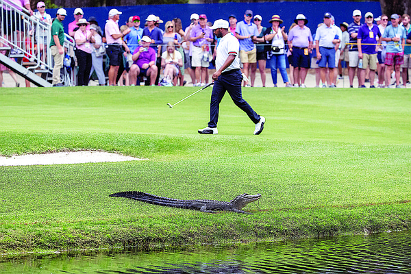 Varner shoots 63 to take lead at RBC Heritage - Vimarsana News