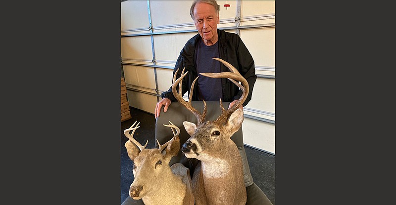 These two bucks are bookends to Sheffield Nelson’s deer hunting career. The buck with the small 8-point rack (left) was a trophy animal when Nelson shot it in 1971. The big buck, taken in 2021, is the result of dedicated management practices.
(Arkansas Democrat-Gazette/Bryan Hendricks)