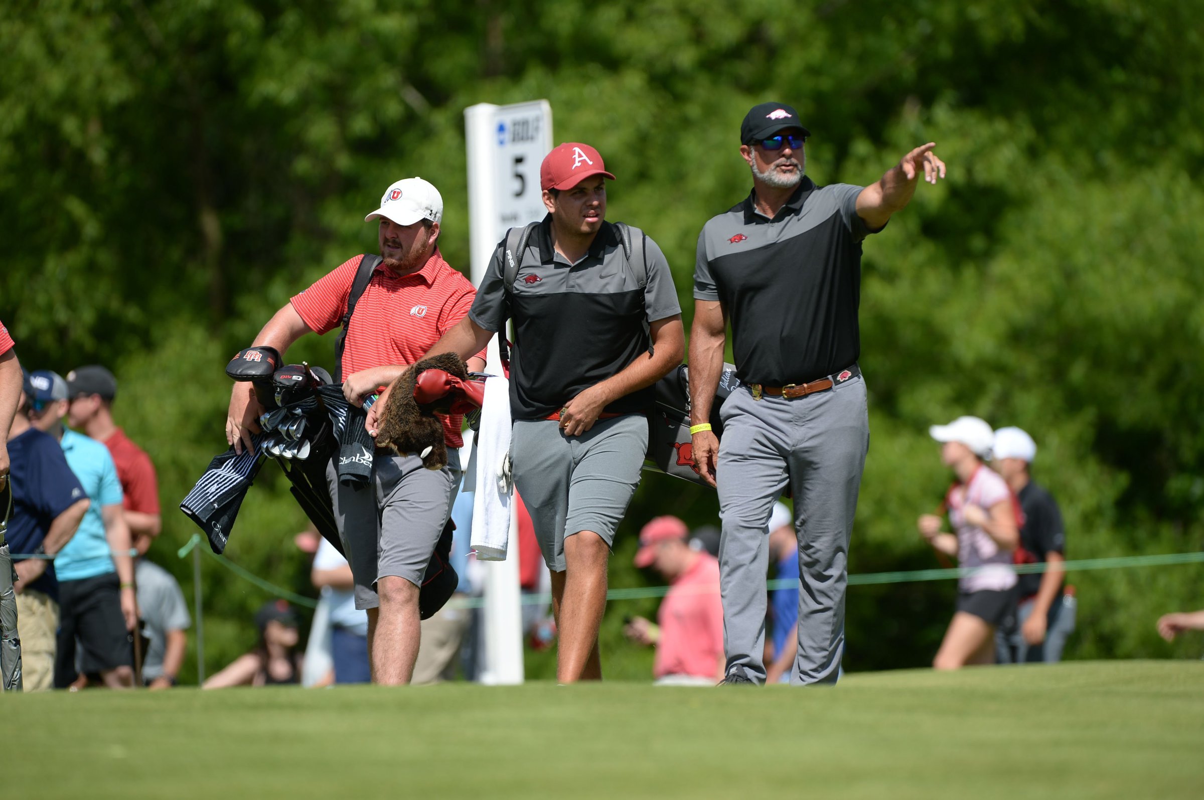 No. 14 Arkansas draws No. 3 seed - Vimarsana News