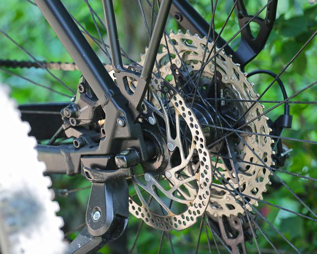 Bike trails now open at Baker Hayes in Pea Ridge - Vimarsana News