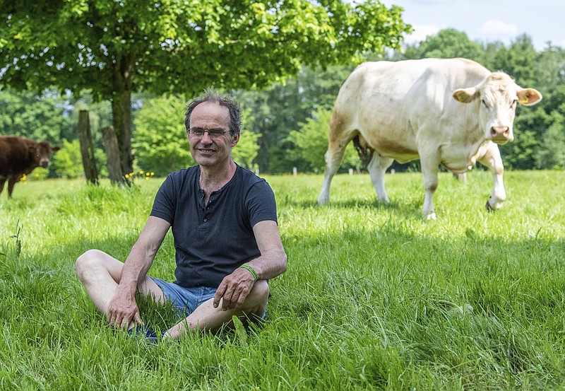 Ulf Allhoff-Cramer, a farmer, sits in a pasture next to one of his cows Wednesday in Detmold, Germany.
(AP/dpa/Lino Mirgeler)