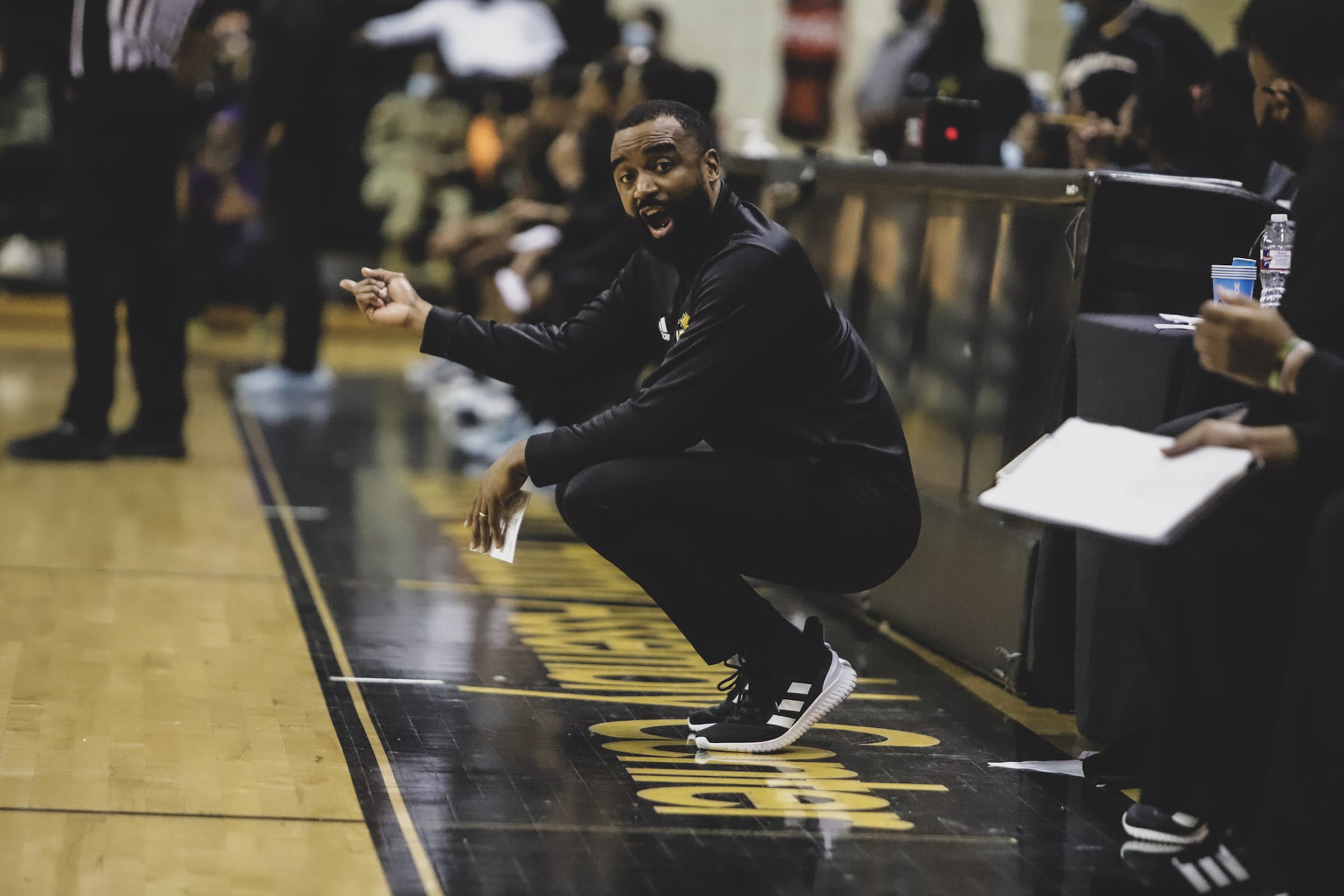 Golden Lions getting versatile new players