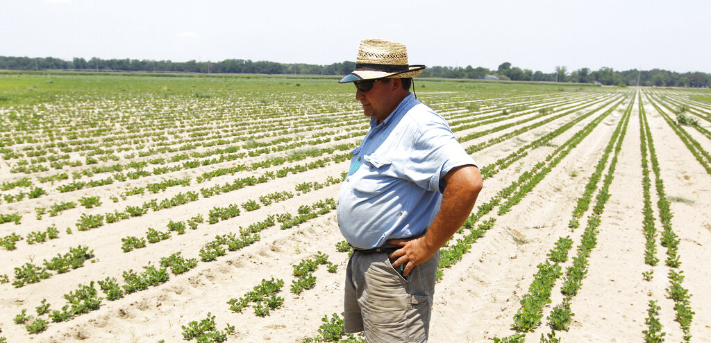 Reserve program an option for struggling row-crop farmers