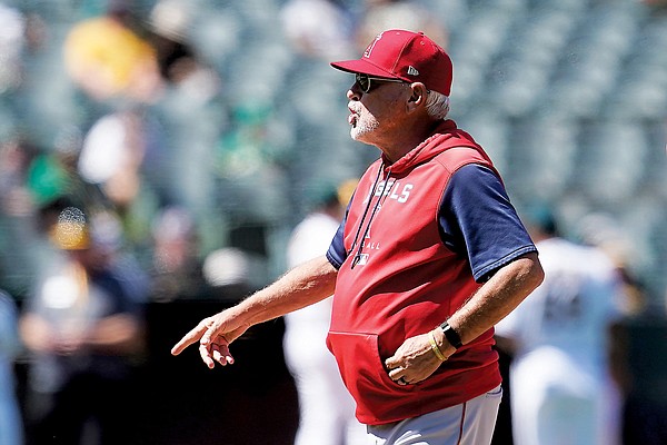 Angels fire Maddon as consequence of long losing streak - Vimarsana News