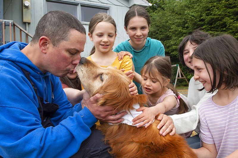 Ted Kubacki gets a lick from the family golden retriever, Lulu, outside their house after being reunited in Sitka, Alaska, on Thursday, July 7, 2022. The elderly, blind dog had been missing three weeks before being found Tuesday, July 5, 2022, by a construction crew in salmonberry bushes. Behind Ted is his wife, Rebecca, and their children Ella, Viola, Star, Lazaria and Olive. (James Poulson/The Daily Sitka Sentinel via AP)