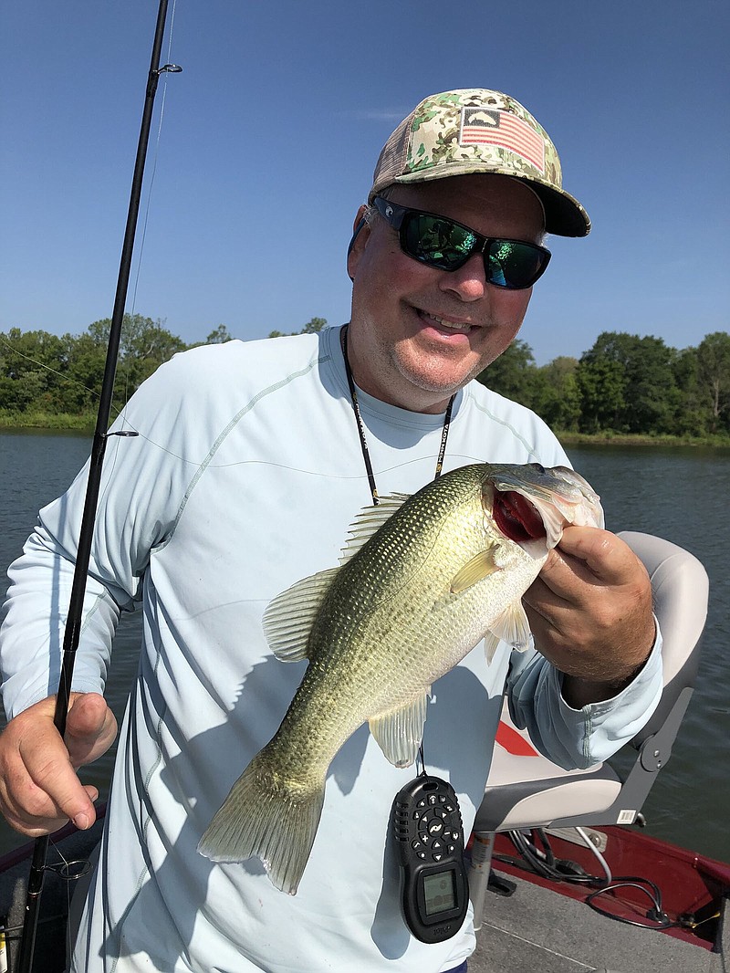 Hot stuff: One bass enough to escape heat
